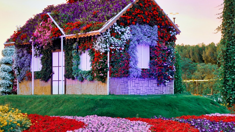 Dubai miracle garden tickets