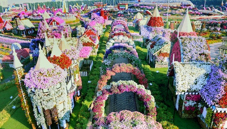 Dubai Miracle Garden Tickets