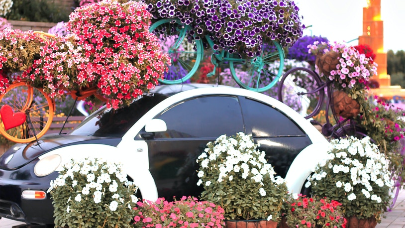 Dubai Miracle Garden Tickets