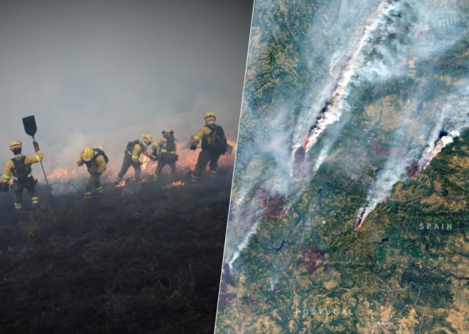 El problema de España con el fuego va más allá de lo alcanzable: son incendios «fuera de capacidad de extinción»