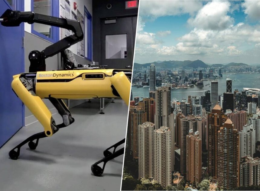Hong Kong afronta una enorme crisis de salud pública por el virus chikungunya. Su solución: un ejército de perros robot